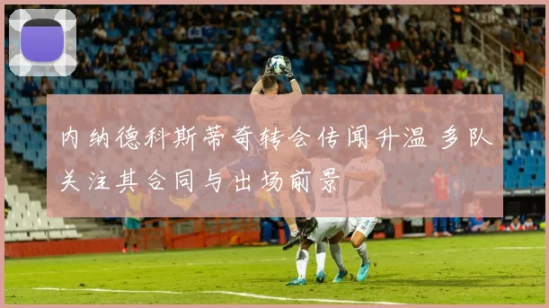 内纳德科斯蒂奇转会传闻升温 多队关注其合同与出场前景