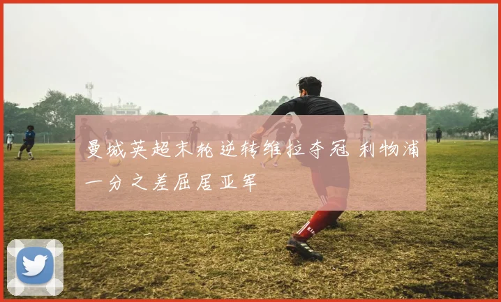 曼城英超末轮逆转维拉夺冠 利物浦一分之差屈居亚军